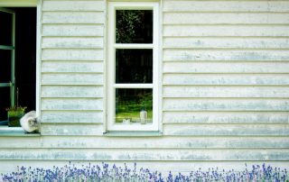 cat-window-timber